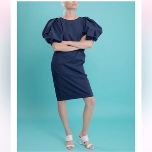 DRIES VAN NOTEN Dali puff sleeve dress size 36